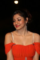 Shilpi Sharma Spicy Photos
